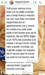 Carolina y su gata Emma ansiedad por comida y maullidos # 2