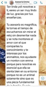 Carolina y su gata Emma ansiedad por comida y maullidos # 1
