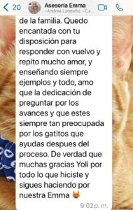 Carolina y su gata Emma ansiedad por comida y maullidos # 3