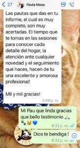 Paula Mesa - Presentación # 3