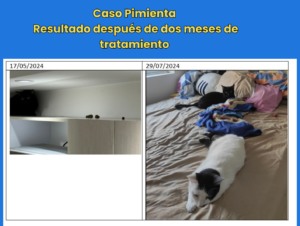 Pimienta - Miedo # 1