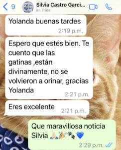 Silvia Castro - Eliminación por estrés #2